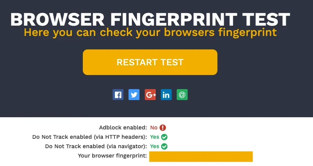 Hidester browser fingerprint test showing adblock, Do Not Track and fingerprint status
