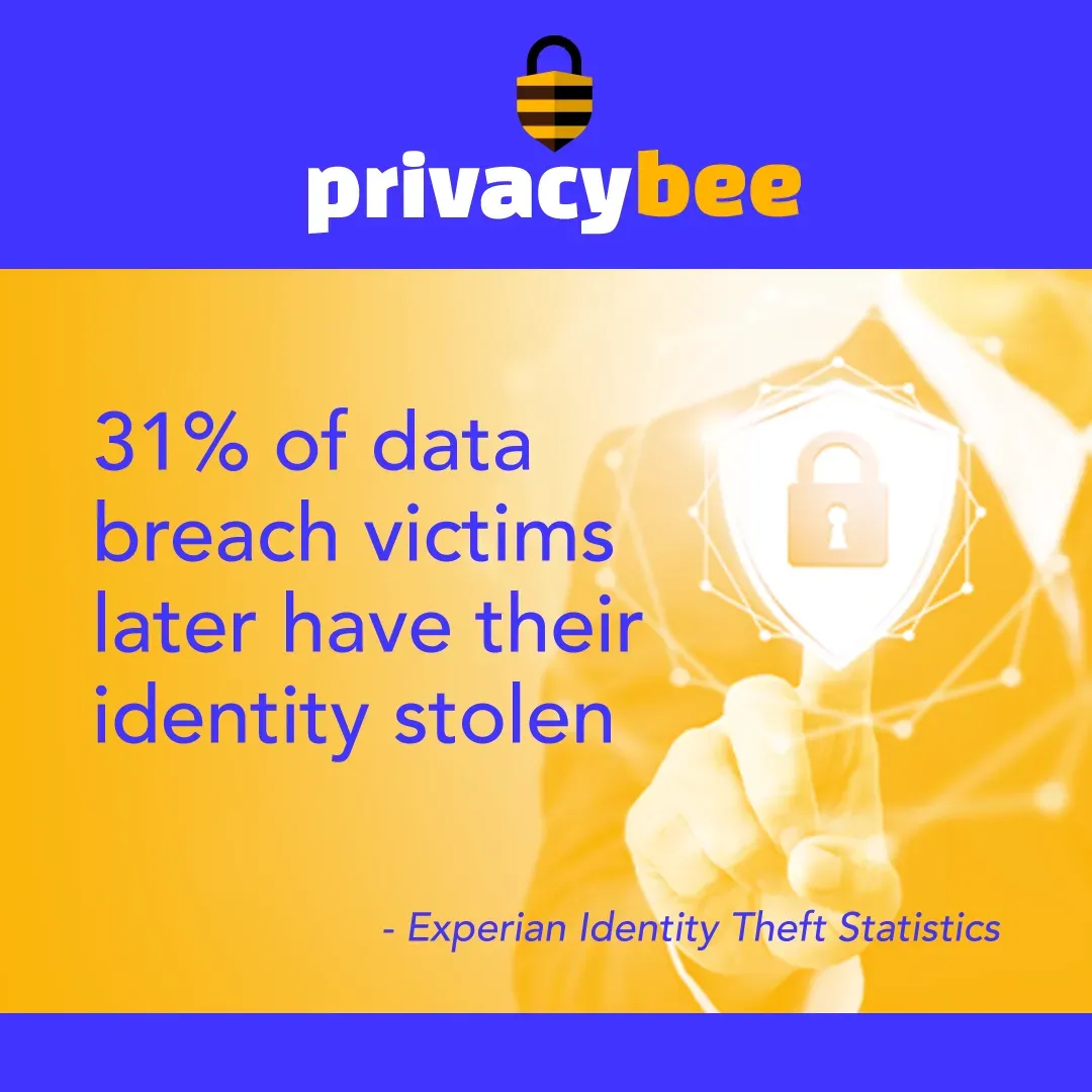 Privacy Bee graphic: 31% of data breach victims later have their identity stolen, per Experian