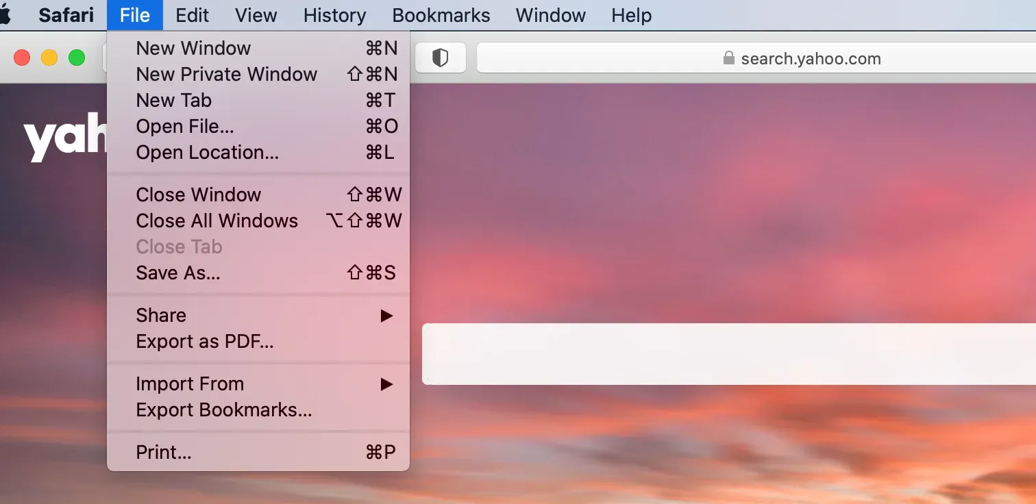 Safari File menu on Mac showing the New Private Window option
