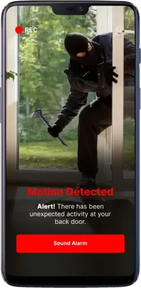 Privacy Bee app screen: Theft & Physical Safety